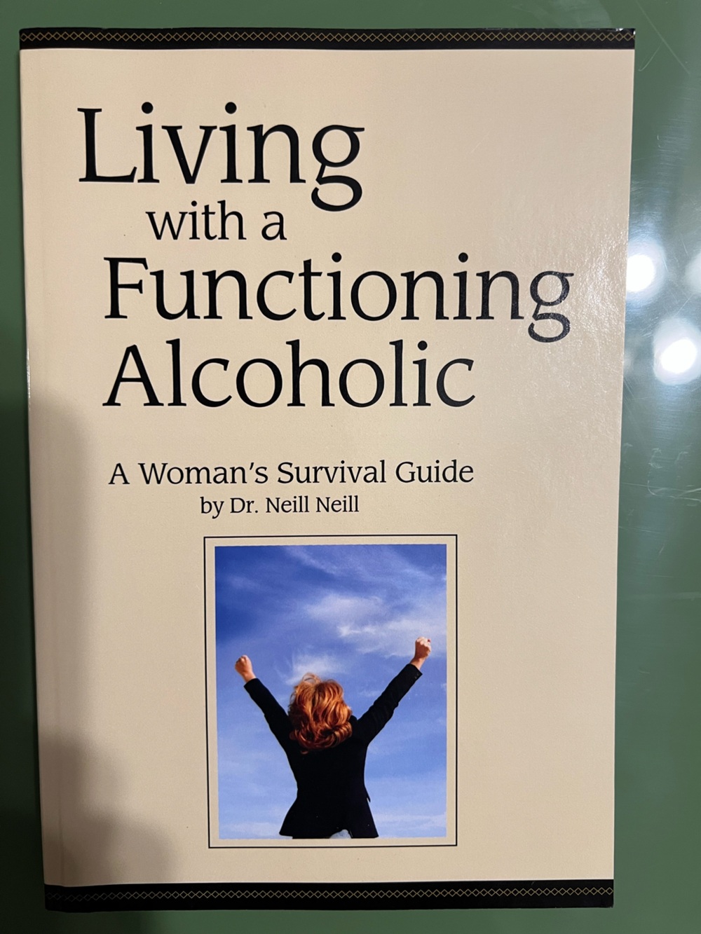 Living with a Functioning Alcoholic Book